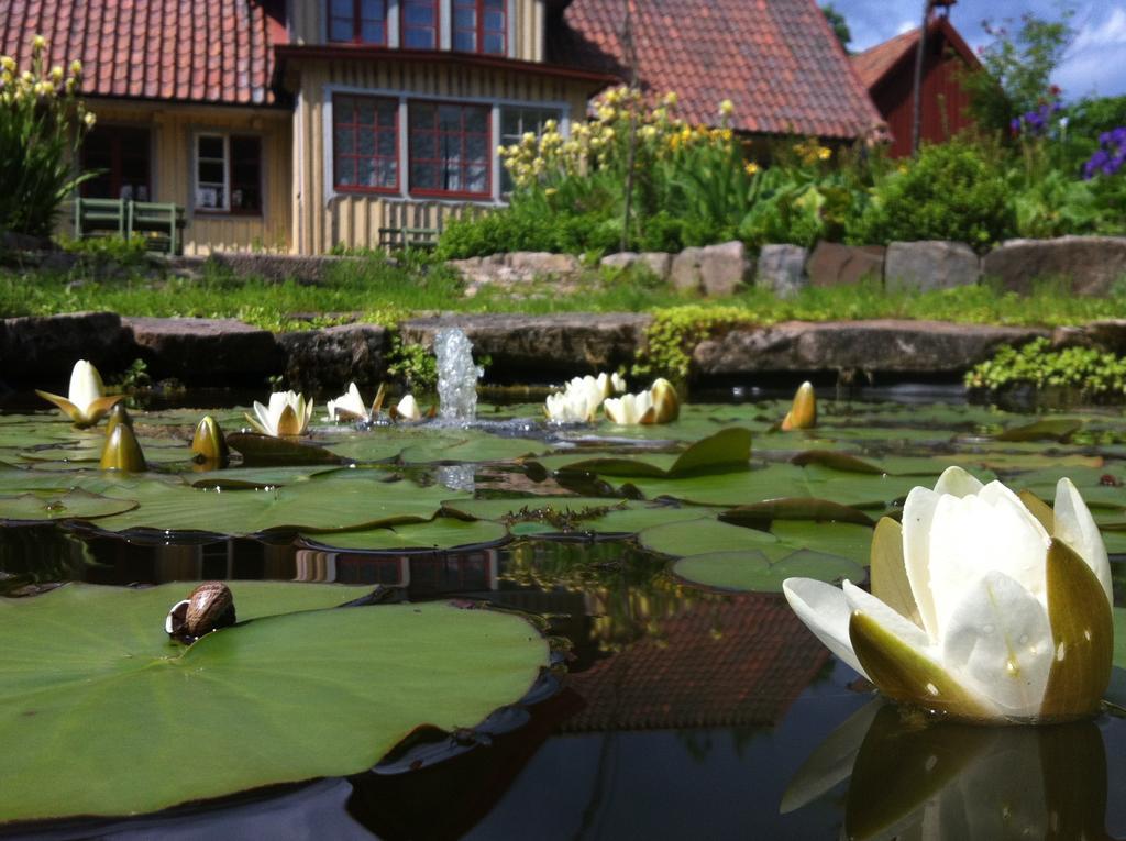 Vildrosor & Hoens Hagstad Exterior photo